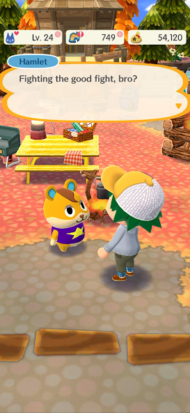 Animal Crossing: Pocket Camp C