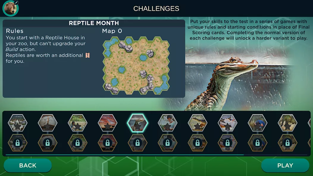 Ark Nova