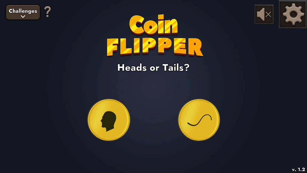 Coin Flipper