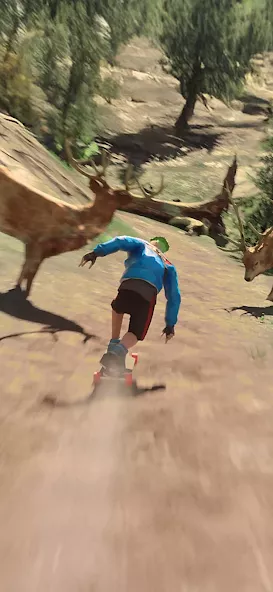 Downhill Racer