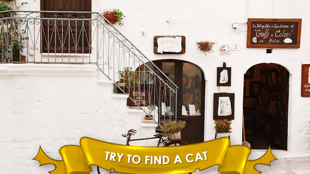 Find a Cat 3: Hidden Object