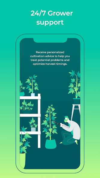 HiGrade: Cannabis Testing