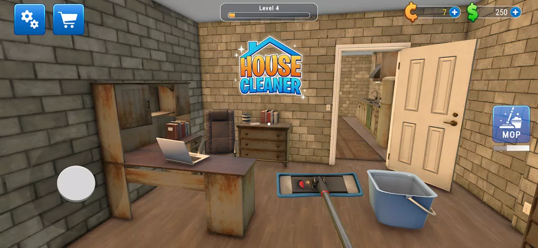 House Cleaner