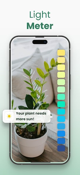 Plantify: AI Plant Identifier