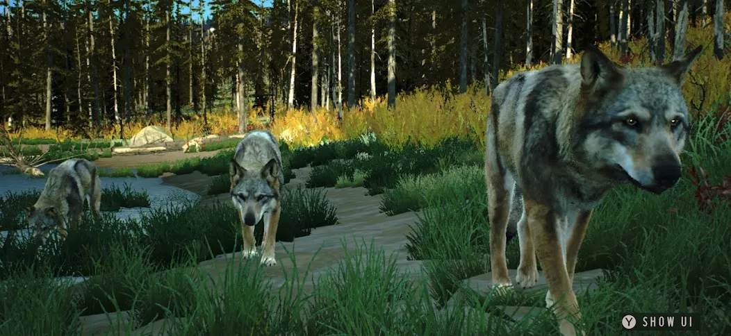 Way of the Hunter Wild America