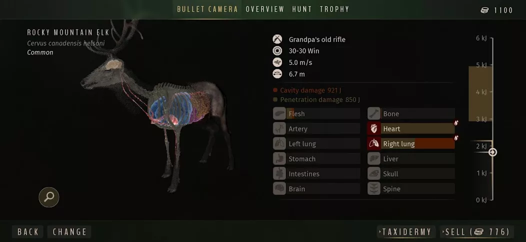 Way of the Hunter Wild America