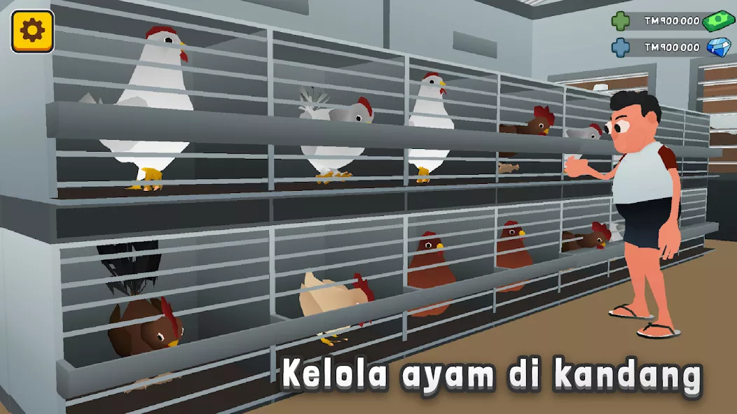 Aku si JURAGAN AYAM