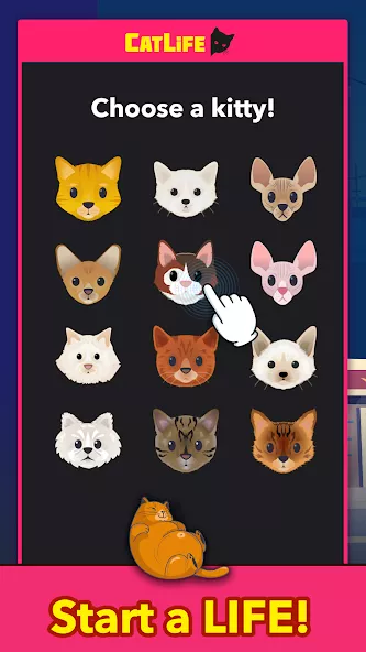 BitLife Cats – CatLife — screenshot 1