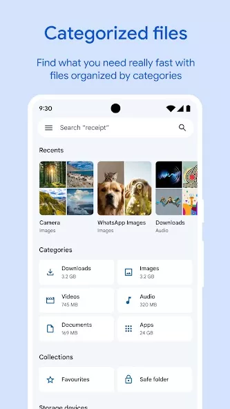 Google Files