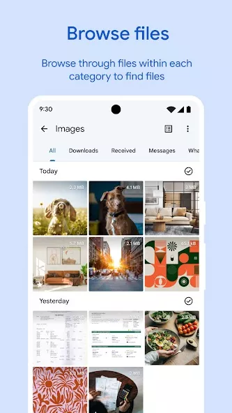 Google Files
