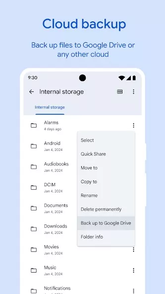Google Files