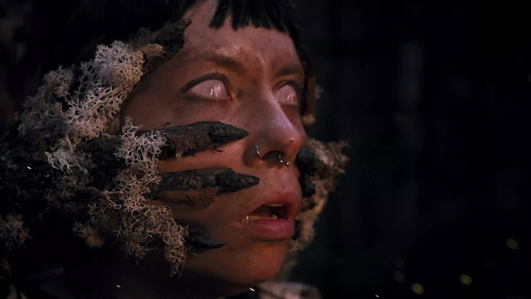 Heart of the Forest — screenshot 1