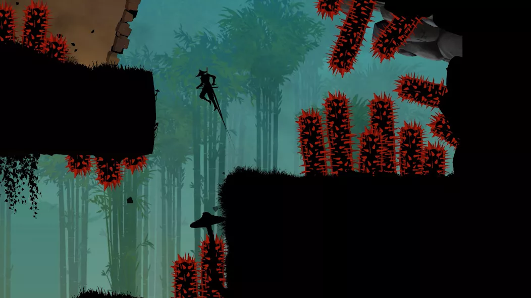 Ninja Arashi 2 — screenshot 1