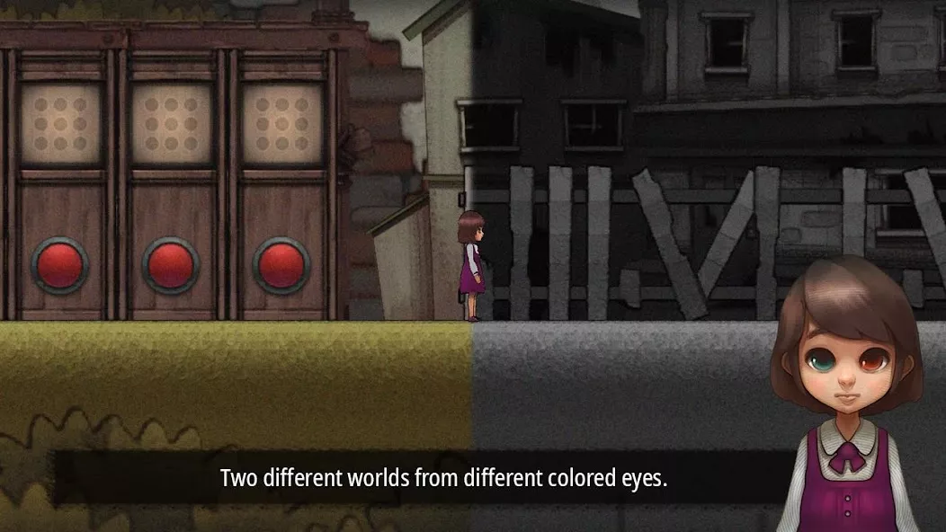 Odd Eye Premium