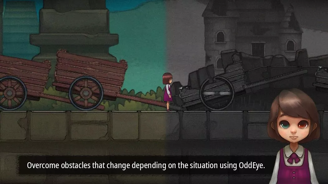 Odd Eye Premium