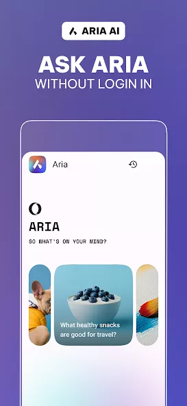 Opera browser