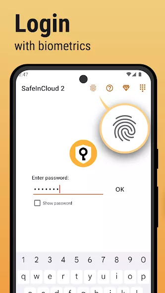 Password Manager SafeInCloud 2