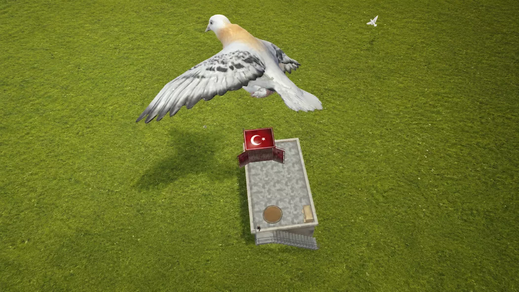 Pigeon Paradise 截图