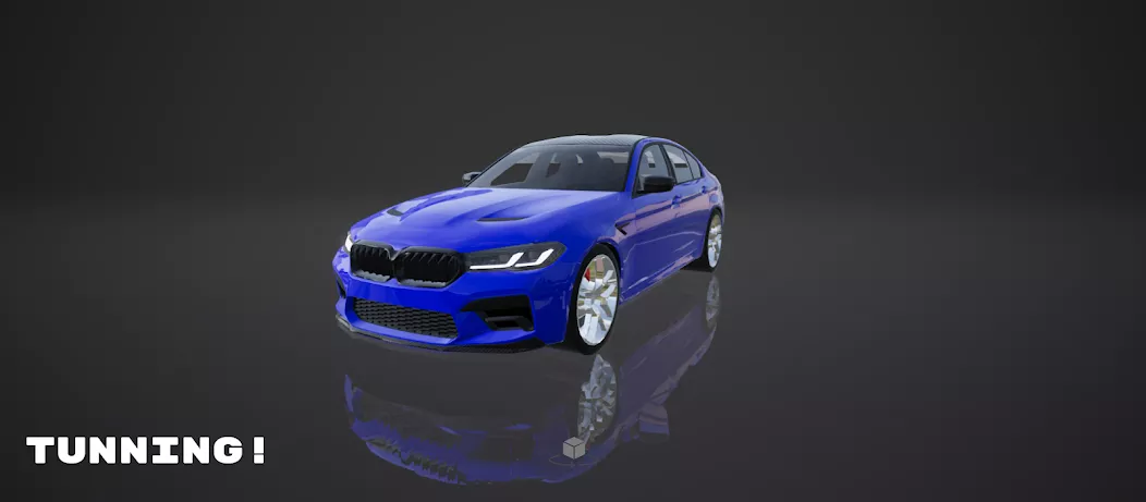 PROJECT R: Ultra Car Simulator — screenshot 1