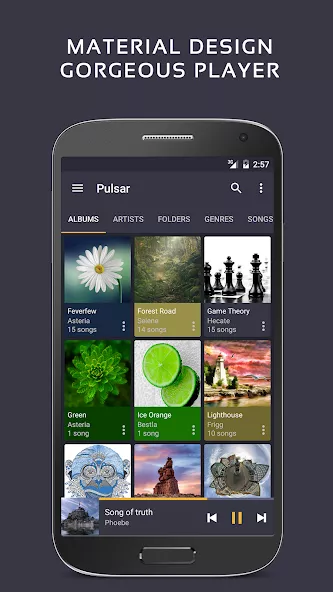 Pulsar Music Player Pro — screenshot 1