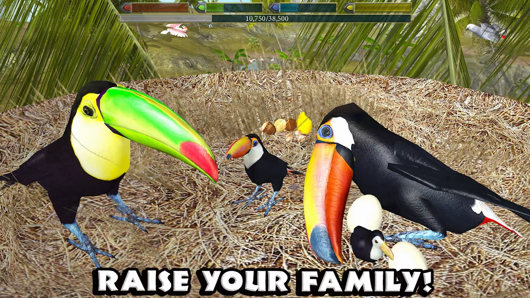 Ultimate Bird Simulator