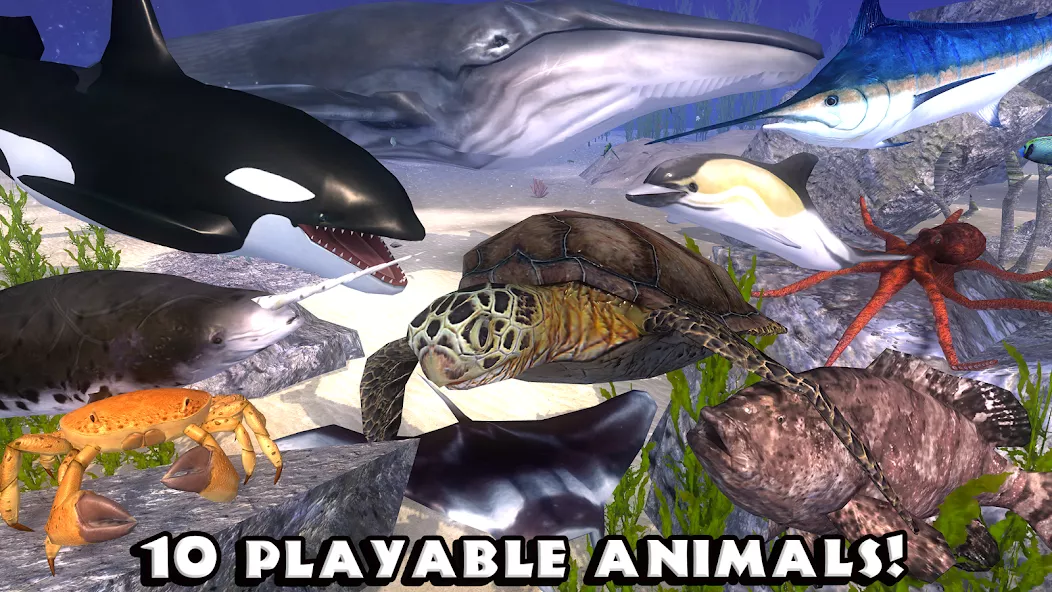 Ultimate Ocean Simulator