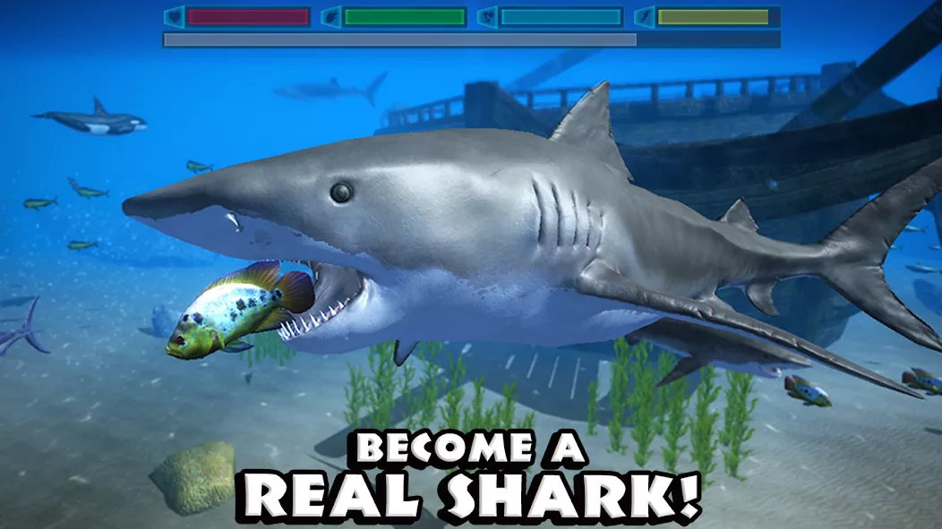 Ultimate Shark Simulator