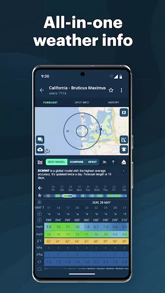Windy.app Pro — screenshot 1